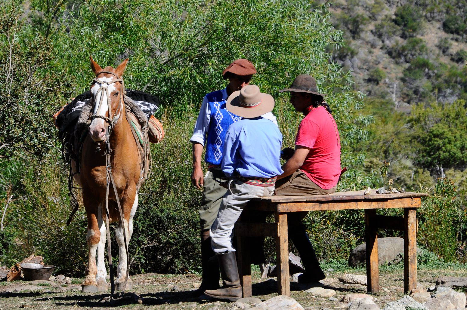 Culture, gauchos - cowboys of the south