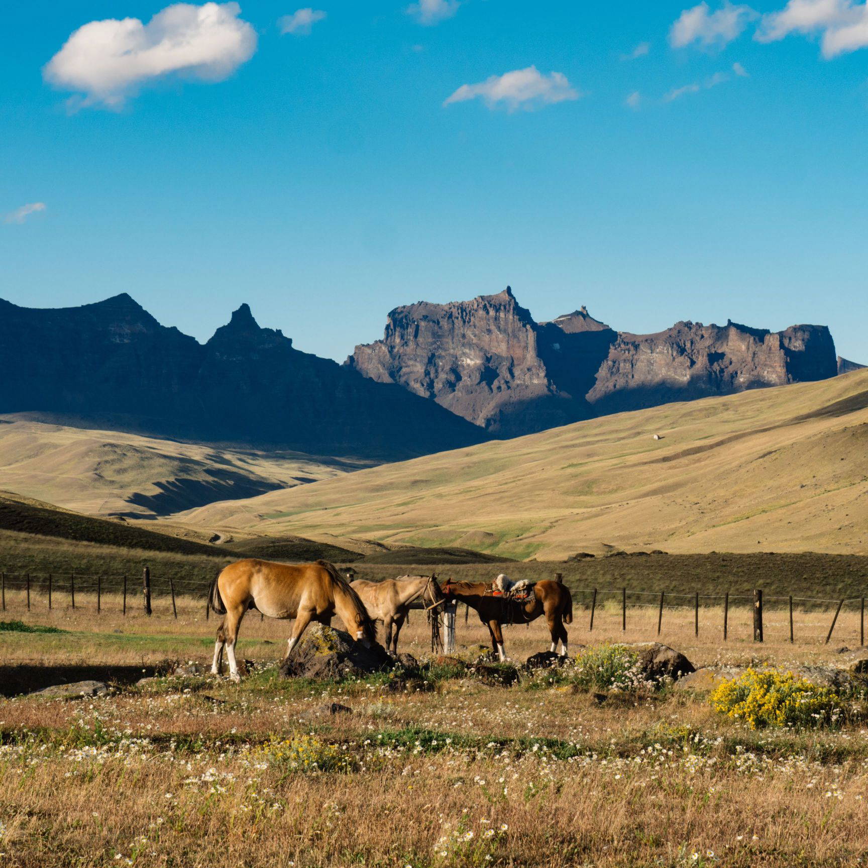 Patagonia's wild west - credit Sofia Amaro