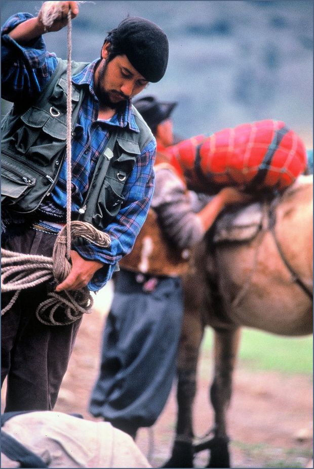 Riding, baqueano with pack horses