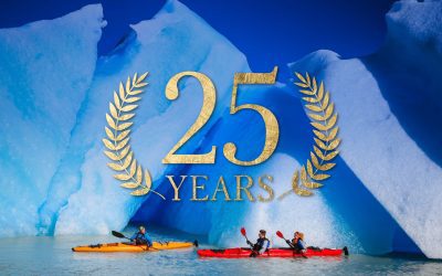 25 Years of Blue Green Adventures