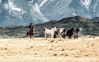 Riding and Estancia Stays