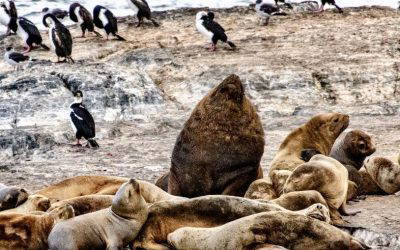 Ushuaia and Tierra del Fuego