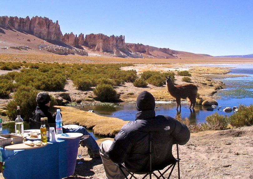 Picnic Atacama Version 2
