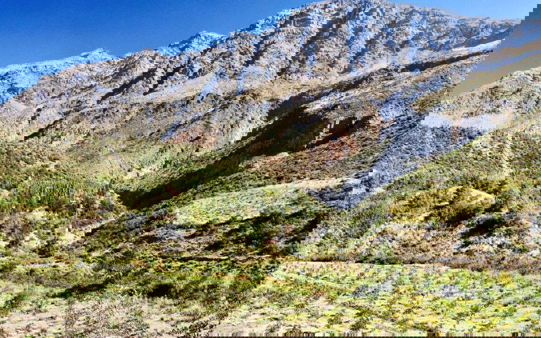 Santiago, Valparaiso and the Wine Regions