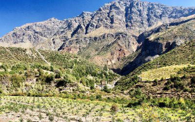 Santiago, Valparaiso and the Wine Regions