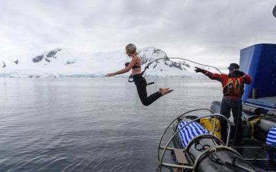 Voyage or Fly to Antarctica