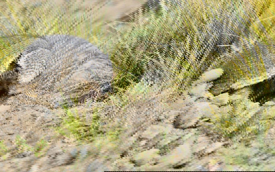 Photography Tour Patagonia