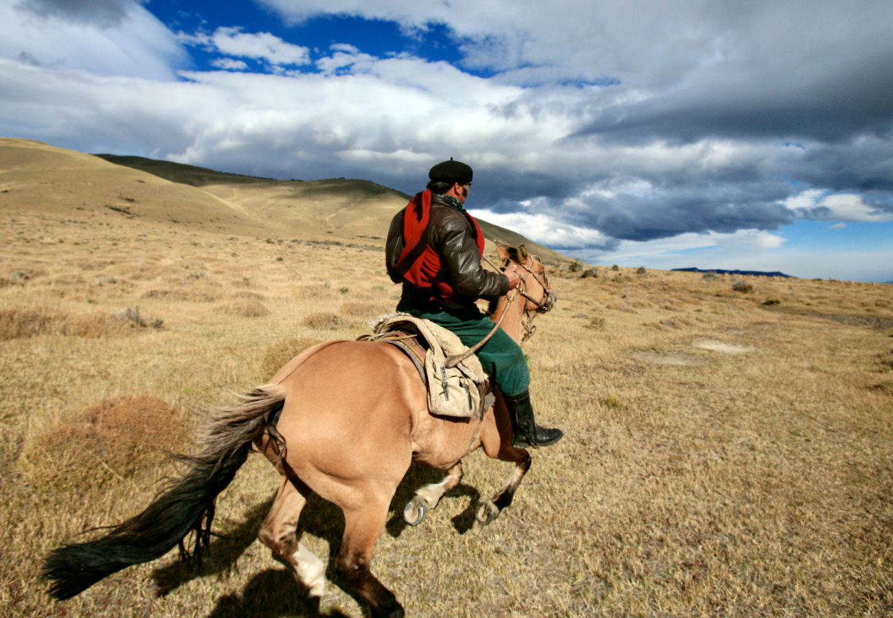 Victor cantering SteveMichaelRøysetRS