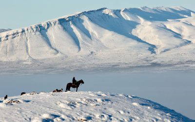 Atacama to Patagonia Winter Family Tour