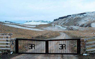 Ride with Patagonia’s wild horses – where adventure meets tradition